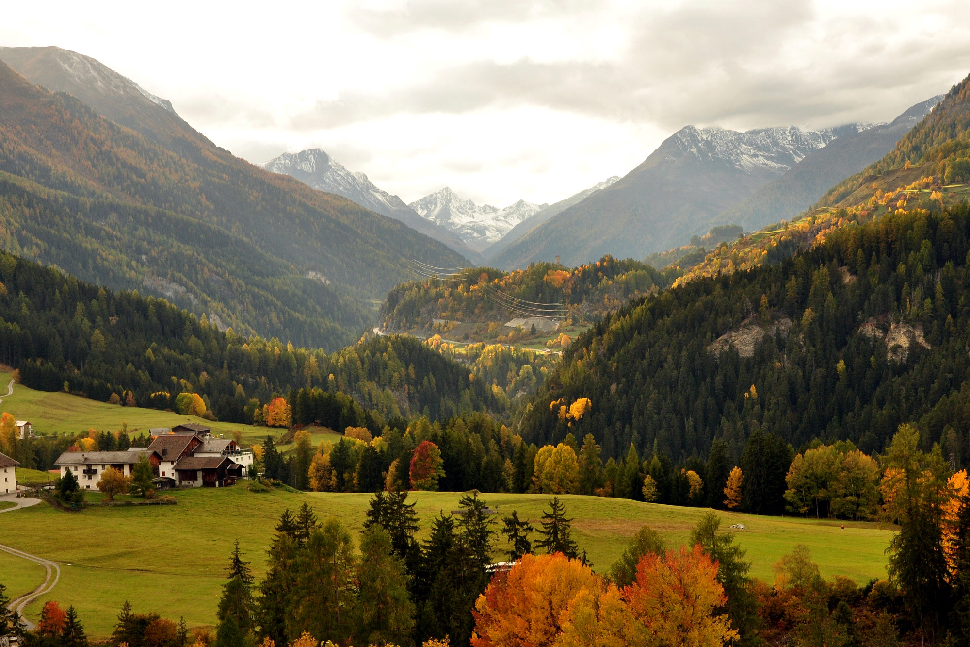Tarasp